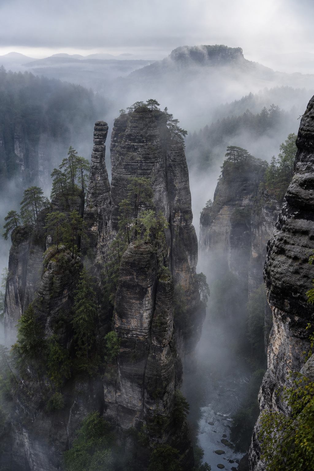 Nebel zwischen Sandsteinfelsen der Sächsischen Schweiz